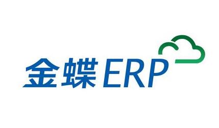 金蝶ERP软件维护管理