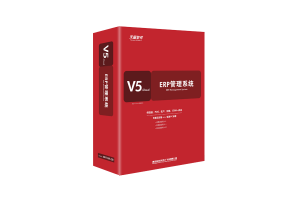 天耀V5.cloud PRO ERP